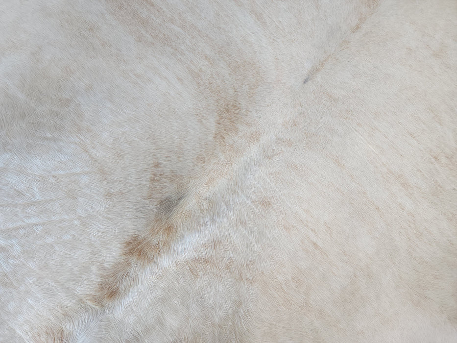 Palomino Exotic Cowhide Rug w/ Leather Binding Size 7.3 X 7.6 ft