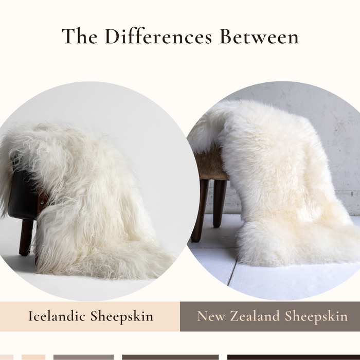 The Differences Between Icelandic Sheepskins and New Zealand Sheepskins