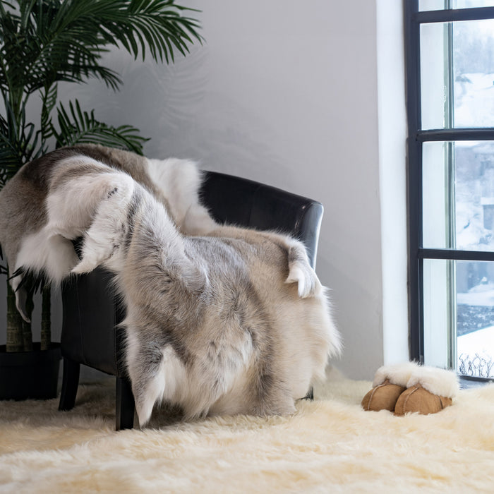 Decorating with Reindeer Skin: A Rustic Elegance with Deep Roots