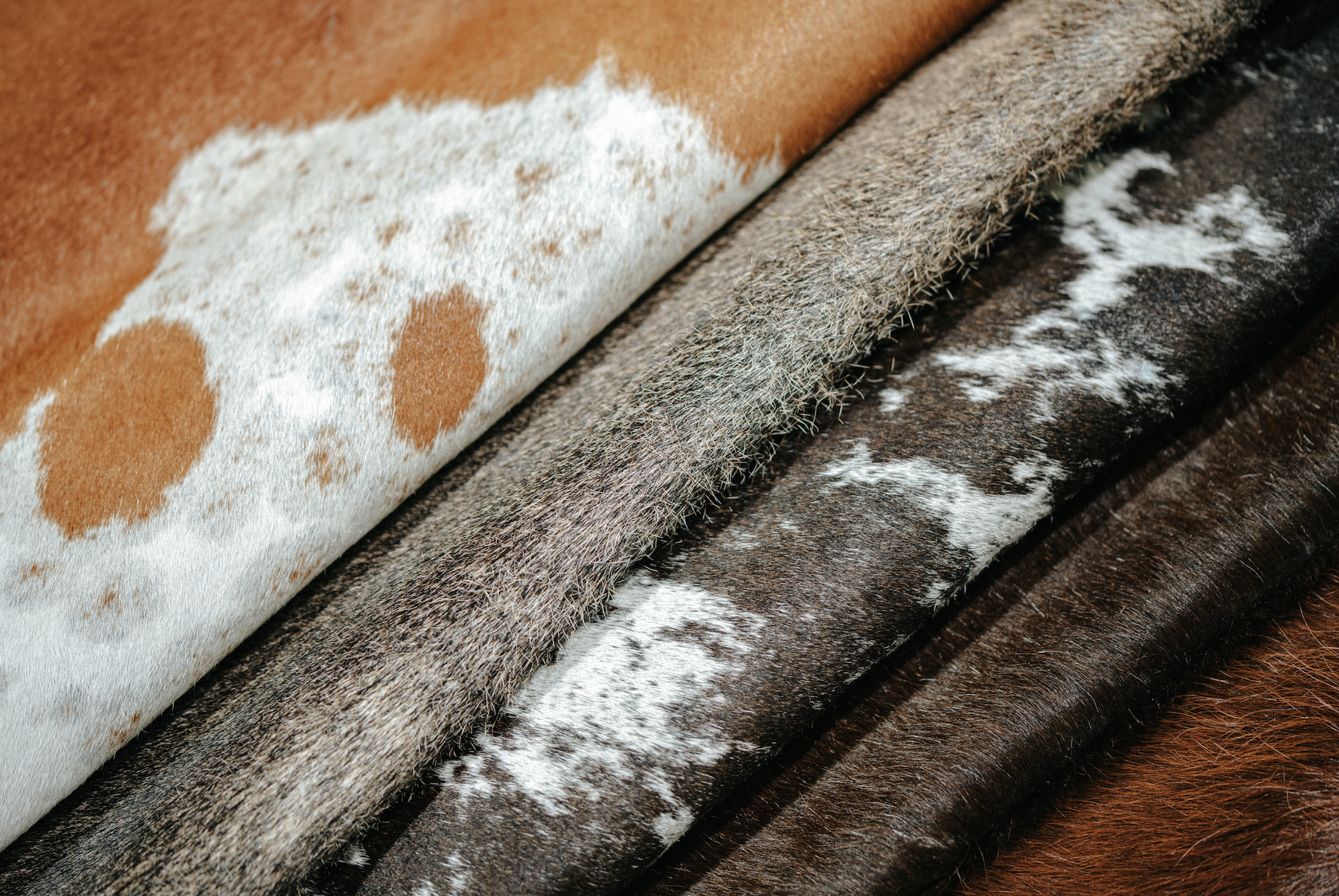Cowhide Colour Cowhide and Color Psychology: Choosing the Right Hue for Your Mood ...