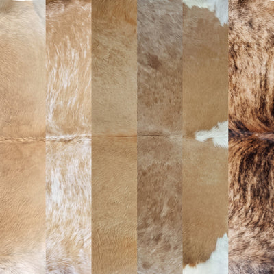 Beige & Warm Tones