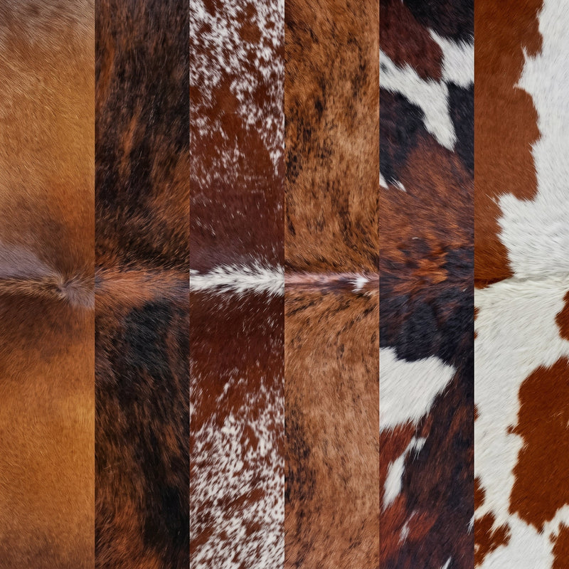 Brown & Reddish Tones