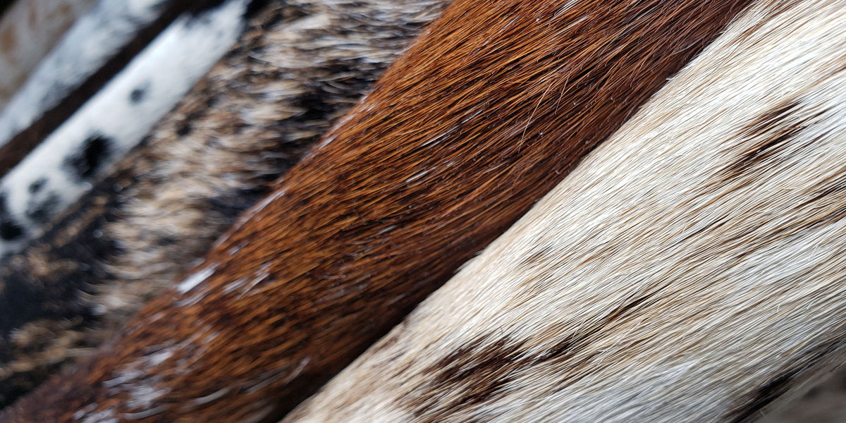 OneOfAKind Brazilian Cowhide Rugs — Luxury Cowhides