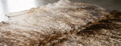 Brazilian Cowhides