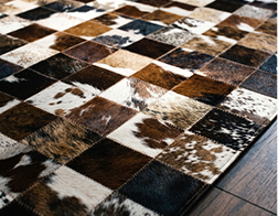 Area Rugs