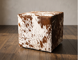 Pouf / Ottomans