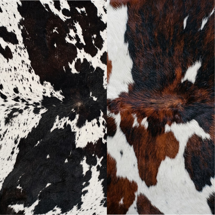 Spotted Cowhides