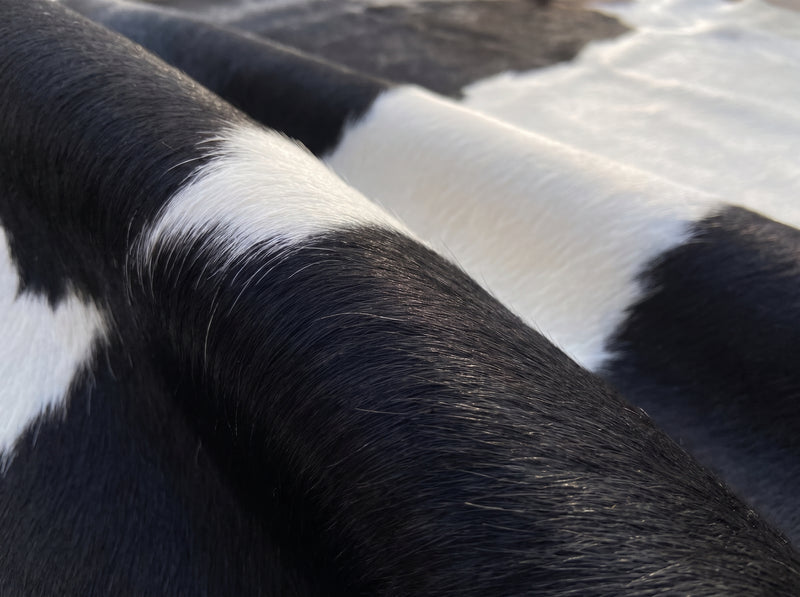 Black and White Cowhide Rug