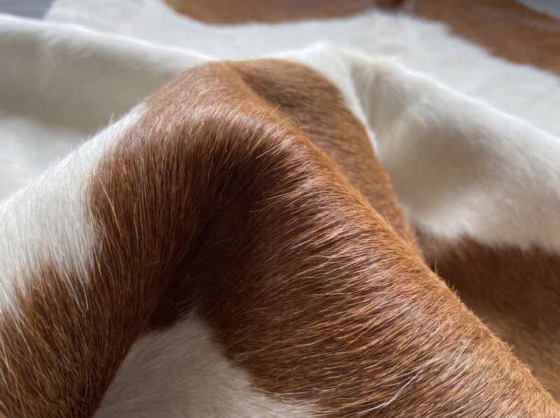Brown and White Cowhide Rug
