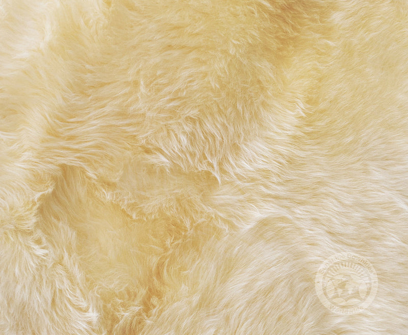 Sheepskin Rug - Ivory