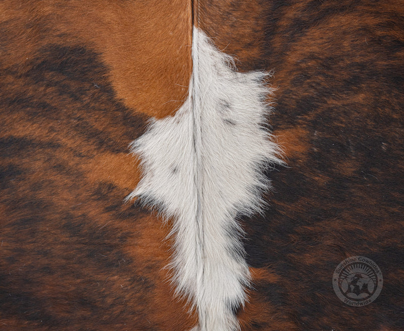 Comfy Leather Arm chair + Ottoman - Brown Leather