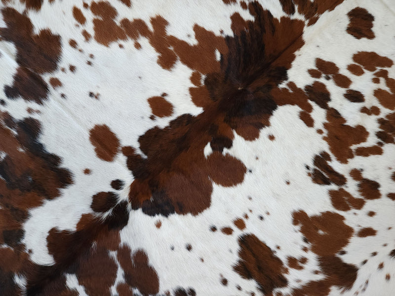 Premium Tricolor Cowhide Rug Size 6.0 X 6.5 ft