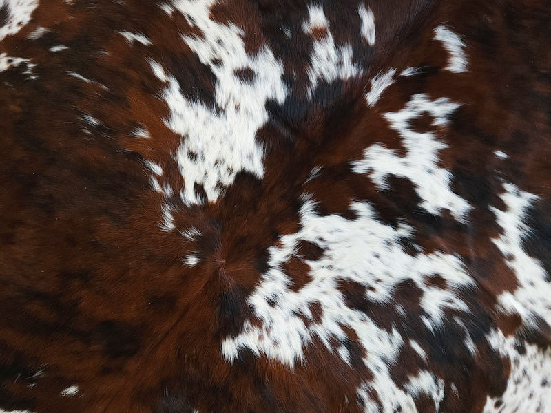 Premium Tricolor Cowhide Rug Size 6.2 X 6.8 ft