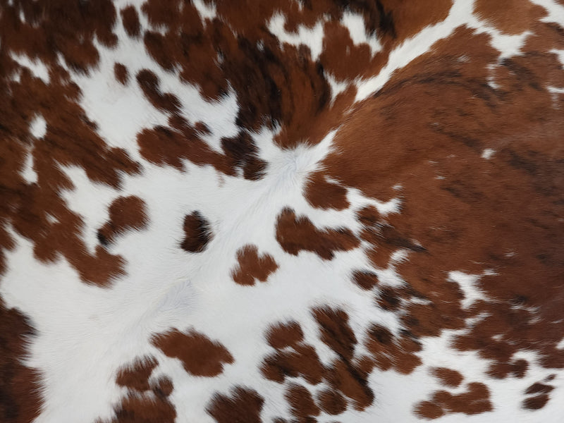 Premium Tricolor Cowhide Rug Size 6.4 X 6.11 ft