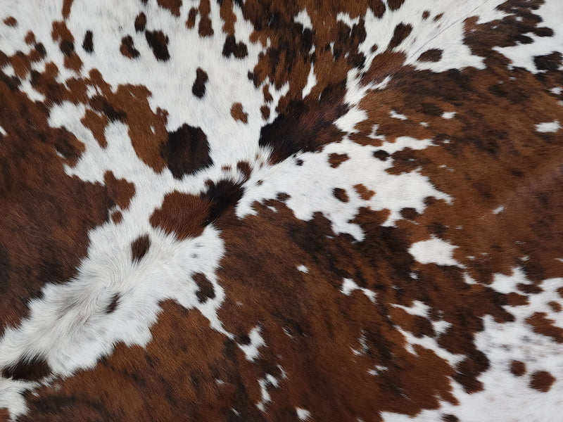 Premium Tricolor Cowhide Rug Size 6.0 X 6.11 ft
