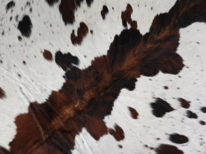 Premium Tricolor Cowhide Rug Size 6.2 X 7.3 ft