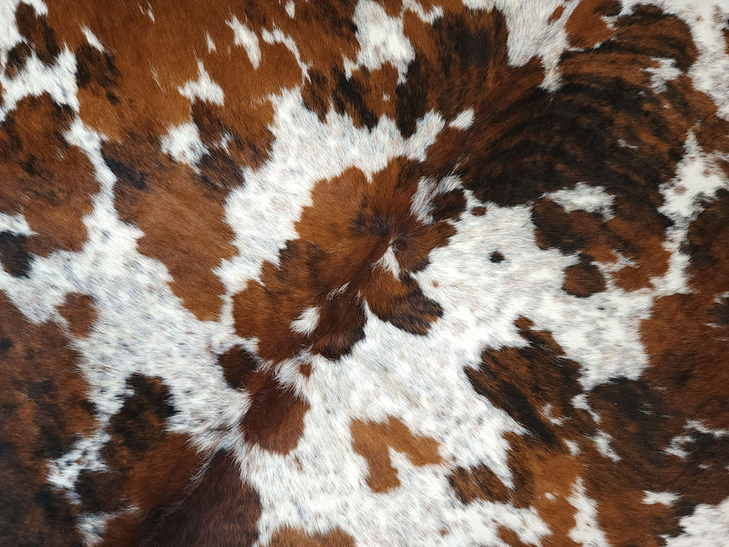 Premium Tricolor Cowhide Rug Size 6.2 X 7.0 ft