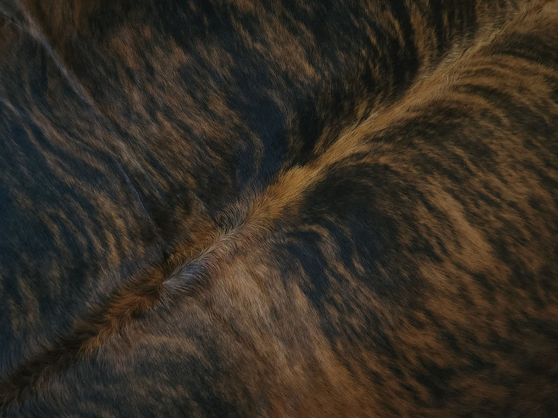 Premium Brindle Cowhide Rug Size 6.6 X 7.0 ft