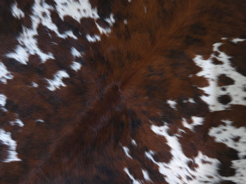 Premium Brindle Cowhide Rug Size 6.6 X 7.0 ft