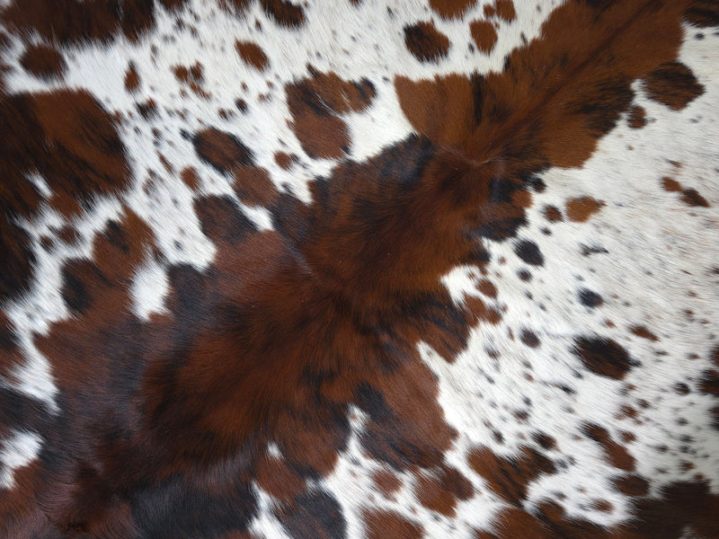 Premium Tricolor Cowhide Rug Size 6.4 X 7.1 ft