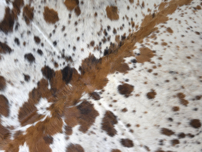 Premium Tricolor Cowhide Rug Size 6.9 X 7.7 ft