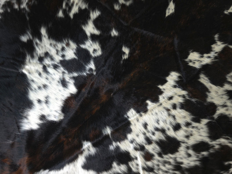 Premium Tricolor Cowhide Rug Size 6.0 X 7.2 ft