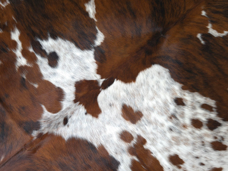 Premium Tricolor Cowhide Rug Size 6.0 X 6.11 ft