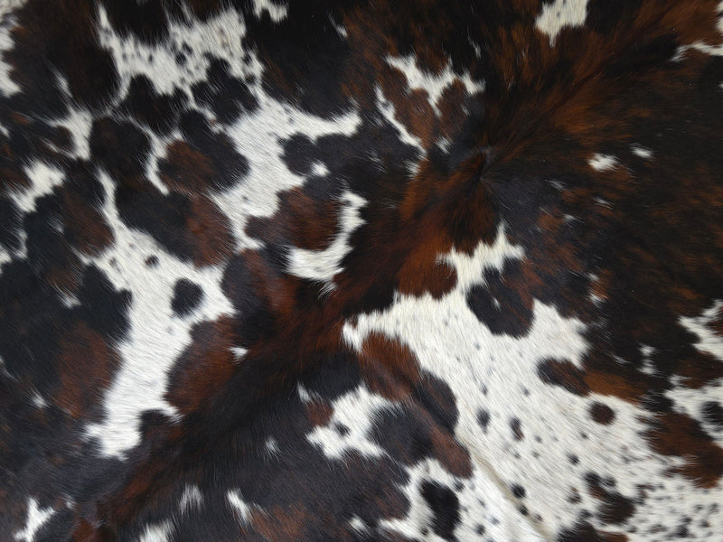 Premium Tricolor Cowhide Rug Size 6.9 X 7.2 ft