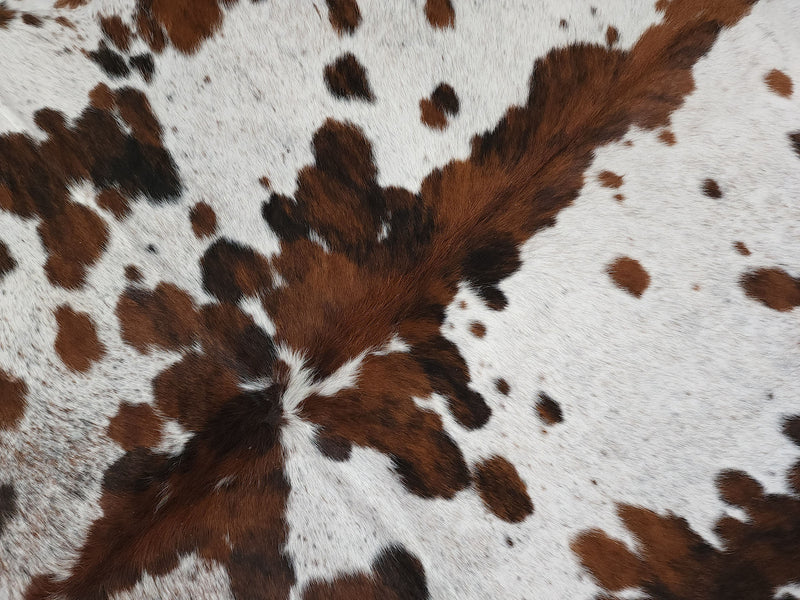 Premium Tricolor Cowhide Rug Size 6.9 X 7.3 ft
