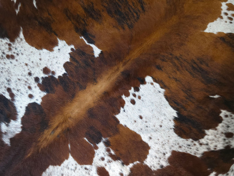 Premium Tricolor Cowhide Rug Size 6.8 X 7.5 ft