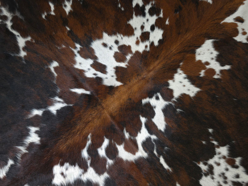 Premium Tricolor Cowhide Rug Size 6.8 X 7.6 ft