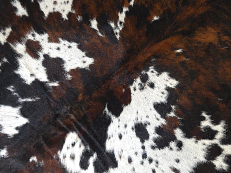 Premium Tricolor Cowhide Rug Size 6.8 X 7.8 ft