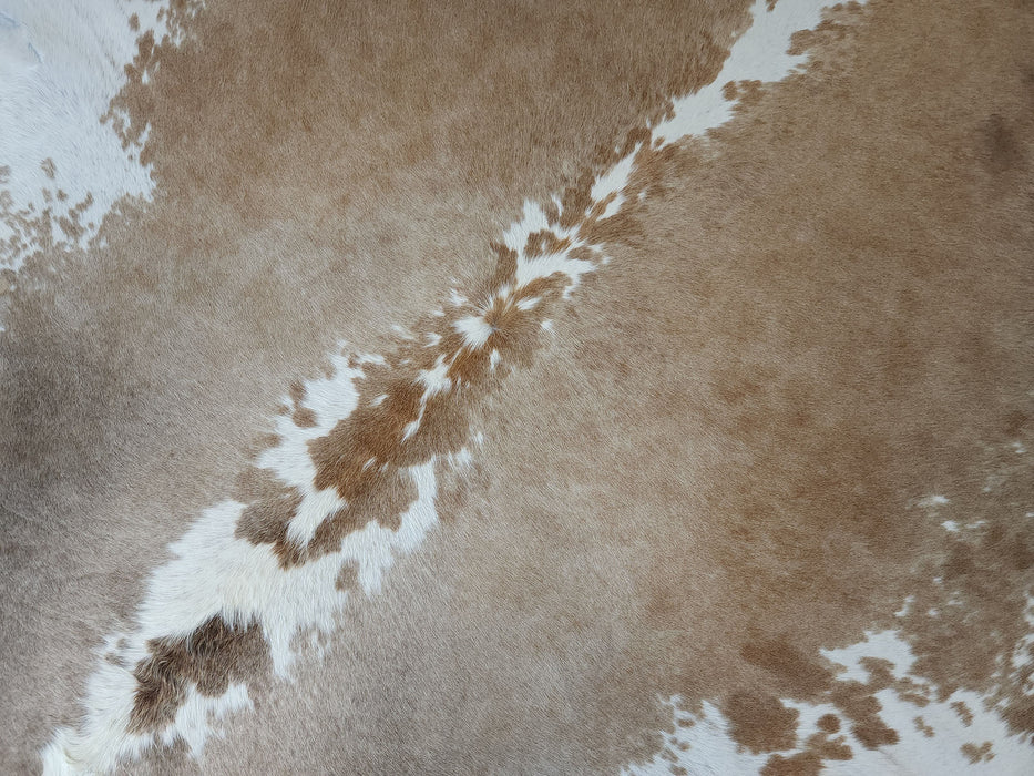 Brindle White Belly Cowhide Rug w/ Leather Binding Size 6.10 X 7.4 ft