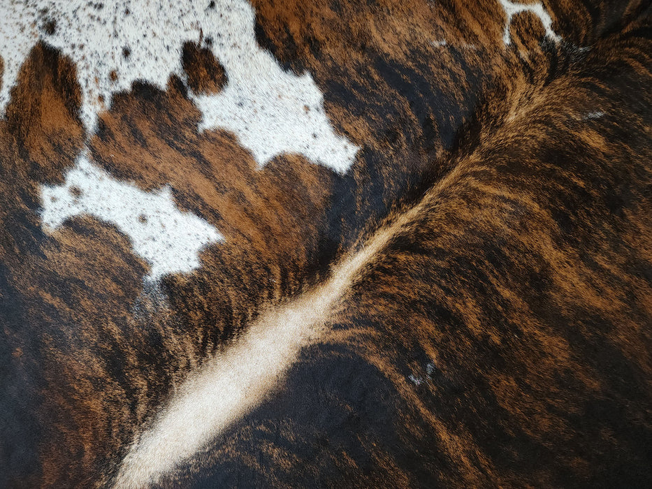 Brindle Exotic Cowhide Rug w/ Leather Binding Size 6.5 X 7.9 ft