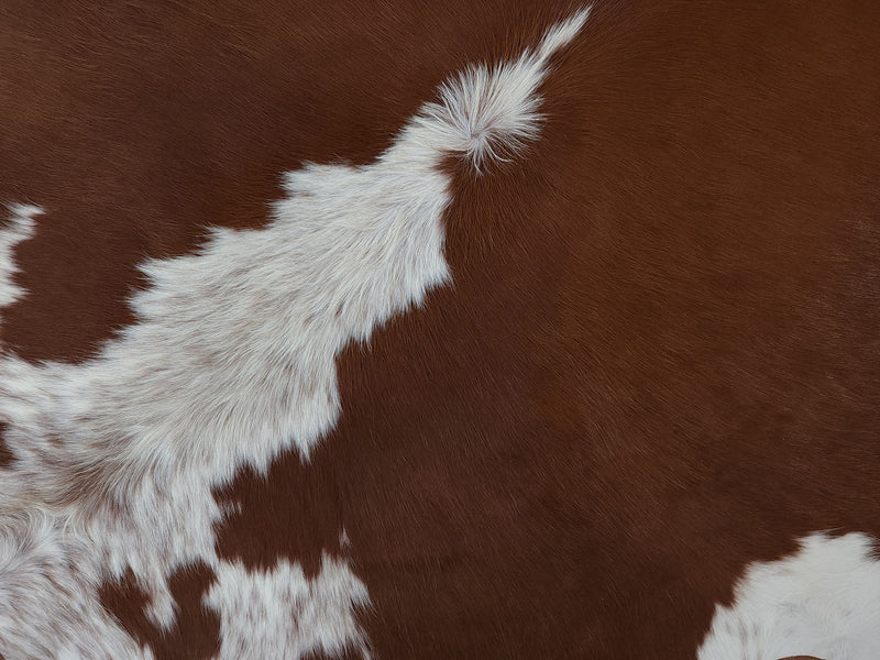 Leather Binding Hereford Cowhide Rug Size 7.11 X 7.5 ft