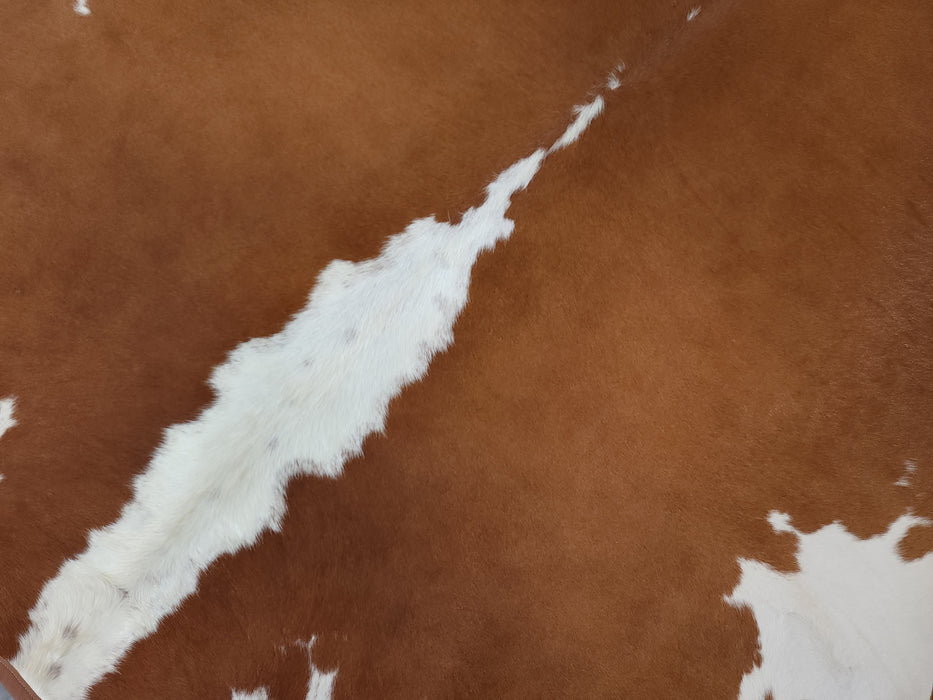 Leather Binding Hereford Cowhide Rug Size 7.0 X 7.1 ft