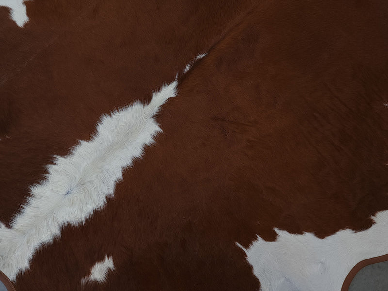 Leather Binding Hereford Cowhide Rug Size 6.9 X 6.10 ft