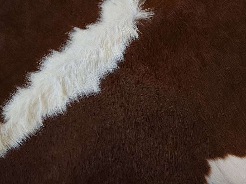 Lined - Hereford Cowhide Rug w/ Leather Binding Size 7 X 7 ft