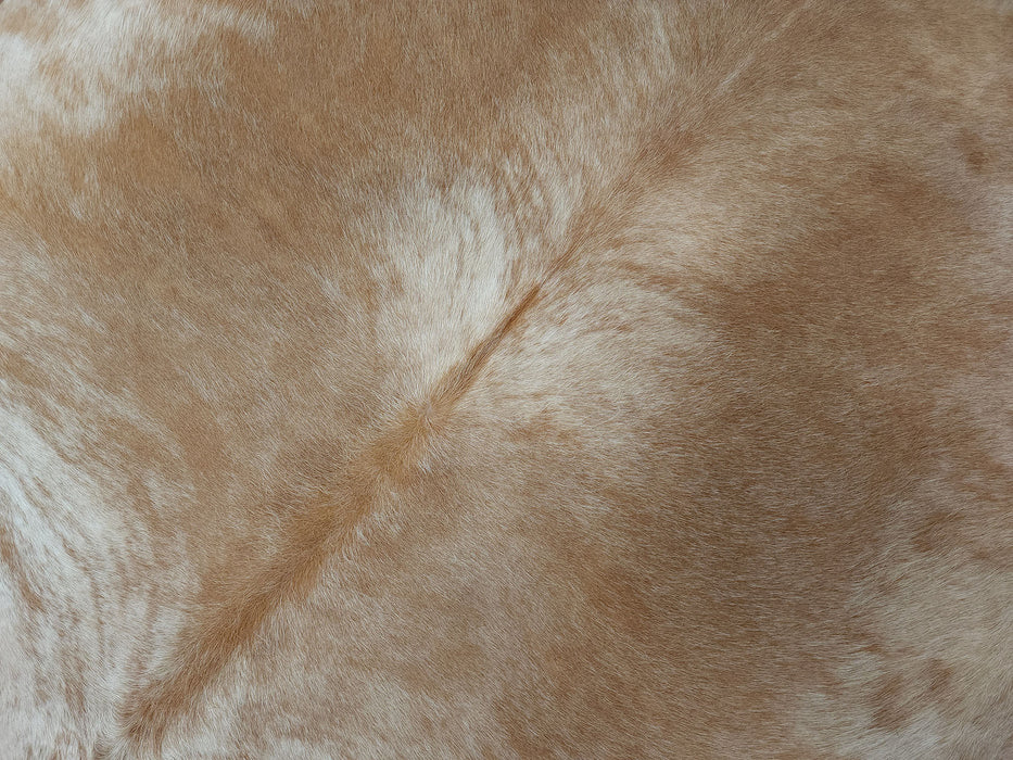 Leather Binding Beige Exotic Cowhide Rug Size 7.0 X 6.6 ft