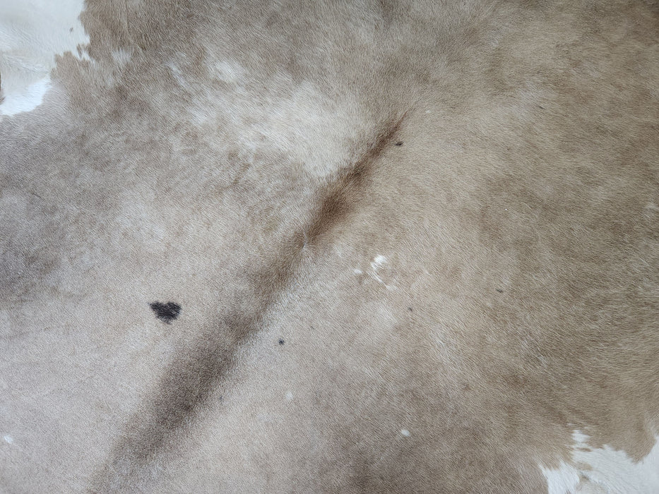 Taupe Exotic Cowhide Rug w/ Leather Binding Size 7.4 X 8.4 ft