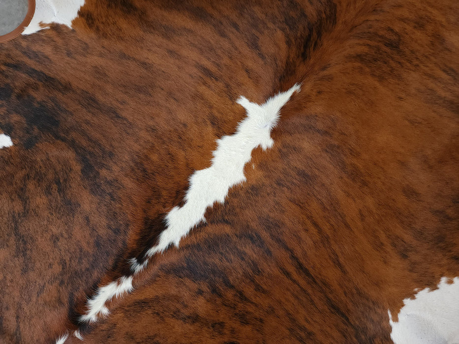 Brindle White Backbone Cowhide Rug w/ Leather Binding Size 6.3 X 7.3 ft