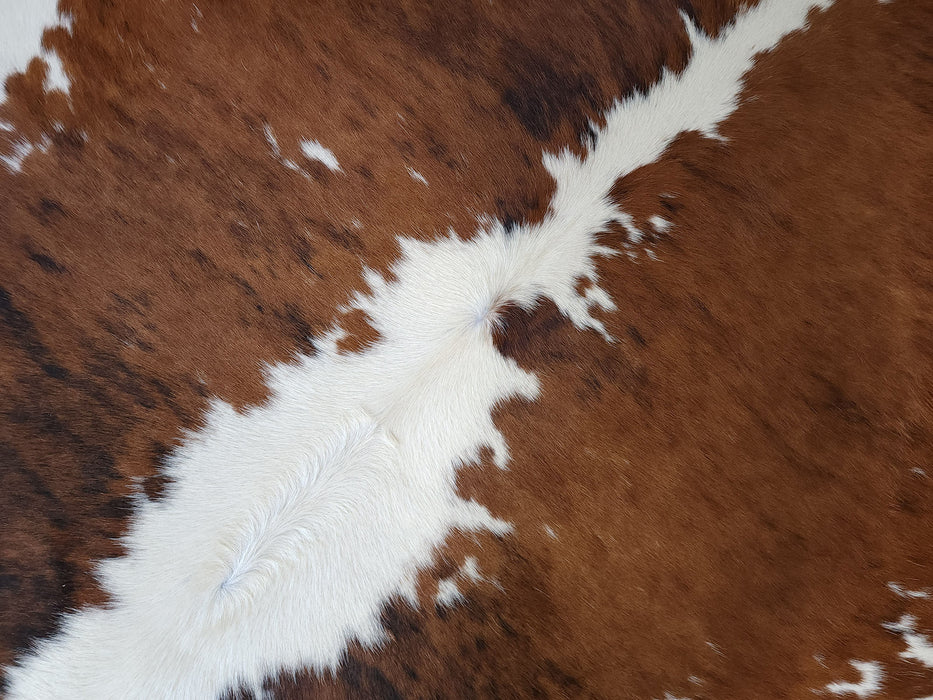 Brindle White Backbone Cowhide Rug w/ Leather Binding Size 6.4 X 6.2 ft