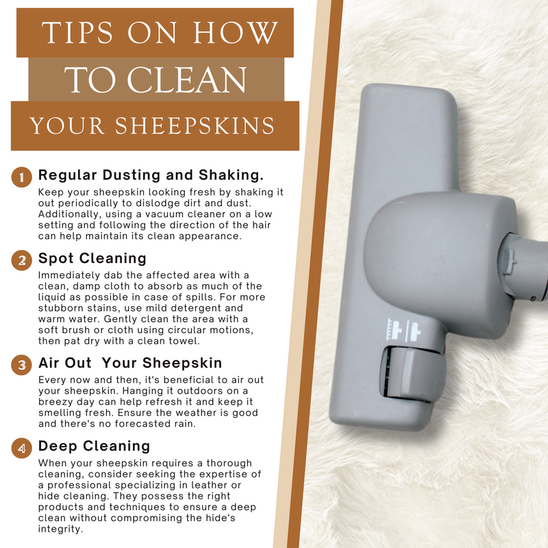 Sheepskin Rug - Natural White