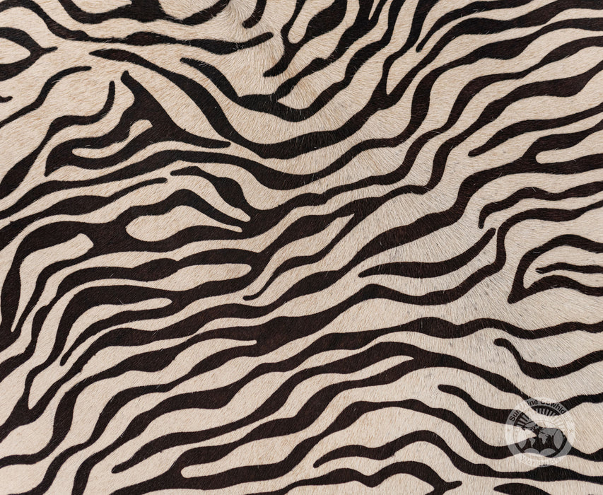 Baby Zebra on Off White Cowhide Rug