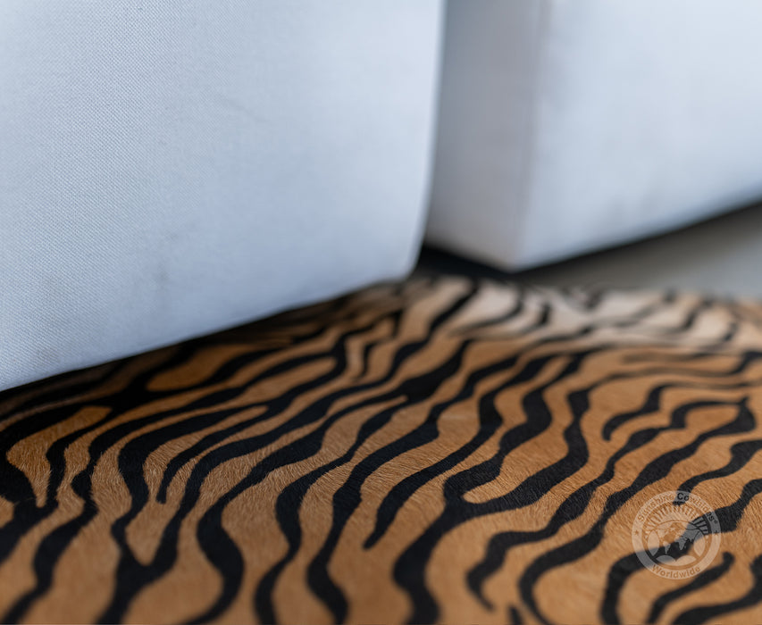 Baby Zebra on Caramel Cowhide Rug