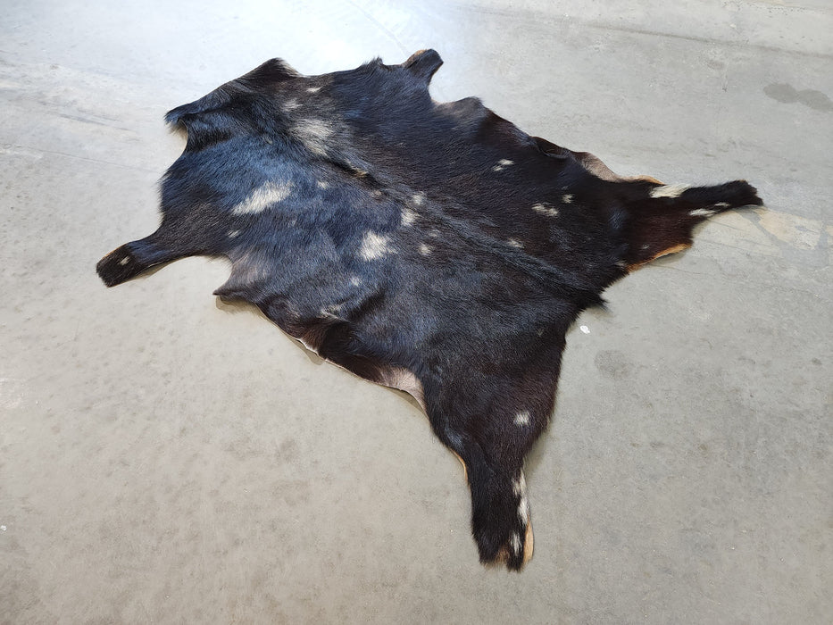 Spotted Black and White Premium Goatskin Hide Size 4.3 X 3.5 ft