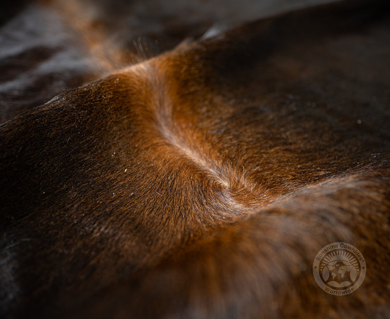 Dark Brown Cowhide Rug