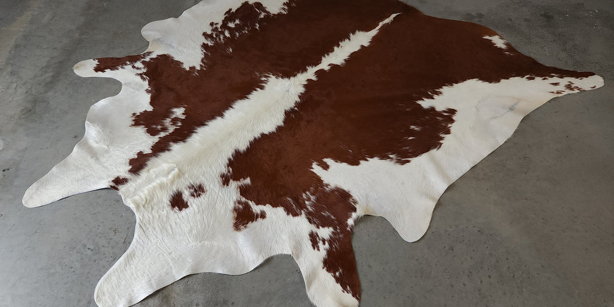 Premium Brazilian Hereford Brown and White Cowhide Rug Size 7.6 X