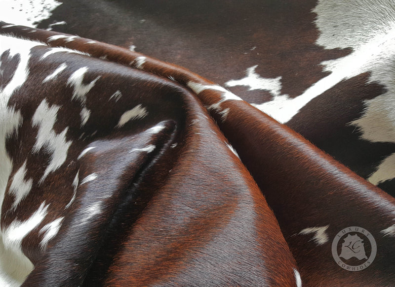 Black & White Reddish Cowhide Rug