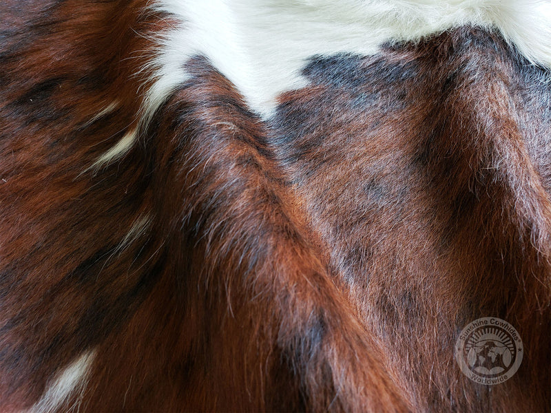Tricolor Cowhide Rug